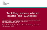 Tackling excess winter deaths and illnesses Rachel Wookey – Environmental Public Health Scientist, Extreme Events and Health Protection ExtremeEvents@phe.gov.uk.