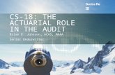 CS-18: THE ACTUARIAL ROLE IN THE AUDIT Brian E. Johnson, ACAS, MAAA Senior Underwriter.