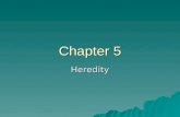 Chapter 5 Heredity. Section 1: Objectives  Explain the relationship between traits and heredity.  Describe the experiments of Mendel.  Explain the.