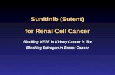 Sunitinib (Sutent) for Renal Cell Cancer Blocking VEGF in Kidney Cancer is like Blocking Estrogen in Breast Cancer.
