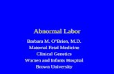 Abnormal Labor Barbara M. O’Brien, M.D. Maternal Fetal Medicine Clinical Genetics Women and Infants Hospital Brown University.