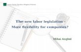 The new labor legislation - More flexibility for companies? Mihai Anghel.