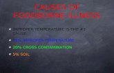CAUSES OF FOODBORNE ILLNESS IMPROPER TEMPERATURE IS THE #1 CAUSE 75% IMPROPER TEMPERATURE 20% CROSS CONTAMINATION 5% SOIL.