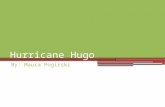 Hurricane Hugo By: Maura Pogirski. East Coast & Caribbean. Oldest State University (NC) Known for Myrtle Beach (SC)