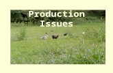 Feed Issues Optimal health Optimal growth Different formulations for standard poultry breeds and industrial strains Different formulations for grow-out,