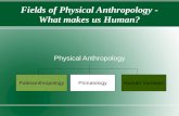 Fields of Physical Anthropology - What makes us Human? Physical Anthropology PaleoanthropologyPrimatologyHuman Variation.