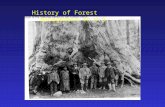 History of Forest Management in U.S.. Distribution of National Forest Lands - Diversity of Forest Types in U.S. - East to West, North to South.