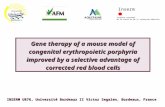 Gene therapy of a mouse model of congenital erythropoietic porphyria improved by a selective advantage of corrected red blood cells INSERM U876, Université.