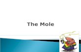 Mass:≈ 1.66 × 10 −27 to 4.52 × 10 −25 kg  The mole is a measure of the amount of a substance.  Abbreviated mol  Amount of substance which contains.