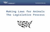 Making Laws for Animals The Legislative Process. Some situations require concrete changes in the law Legitimization of animal protection issues Media.