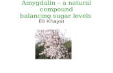 Amygdalin – a natural compound balancing sugar levels Eli Khayat.