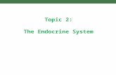 Topic 2: The Endocrine System. 2.1 Systems of chemical mediation and communication.