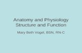 Anatomy and Physiology Structure and Function Mary Beth Vogel, BSN, RN-C.
