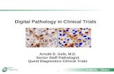 1 CLINICAL TRIALS Digital Pathology in Clinical Trials Arnold B. Gelb, M.D. Senior Staff Pathologist Quest Diagnostics Clinical Trials.