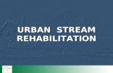URBAN STREAM REHABILITATION. Social appraisal and Public Involvement.