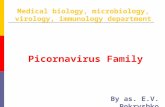 Picornavirus Family By as. E.V. Pokryshko Medical biology, microbiology, virology, immunology department.