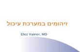 זיהומים במערכת עיכול Elez Vainer, MD. Gastroenteritis שלשול / הקאה + סימפטומים נוספים מחלה לא דלקתית של המעי הדק מחלה