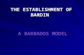 THE ESTABLISHMENT OF BARDIN A BARBADOS MODEL. BARDIN’s Contribution to NCSA BARDIN’s Contribution to NCSA The NCSA established in 1995. Its mandate is.