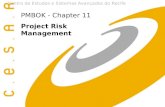 Centro de Estudos e Sistemas Avançados do Recife PMBOK - Chapter 11 Project Risk Management.