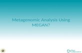 Metagenomic Analysis Using MEGAN?. Introduction In metagenomics, the aim is to understand the composition and operation of complex microbial consortia.