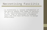 Necrotising Fasciitis is essentially a ‘severe inflammation of the muscle sheath that leads to necrosis of the subcutaneous tissue and adjacent fascia,