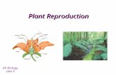 Plant Reproduction AP Biology Unit 5 Bryophyte (Moss) Life Cycle Nonvascular Plant The gametophyte is the dominant form – Dominant form = the “plant”