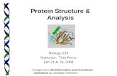 Biology 224 Instructor: Tom Peavy Feb 21 & 26, 2008  Protein Structure & Analysis.