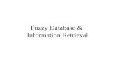 Fuzzy Database & Information Retrieval. Similarity relation defined for the domain opinion Query: which sociologists are in considerable agreement with.