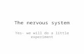 The nervous system Yes- we will do a little experiment.