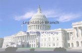 Legislative Branch The Powers of Congress. Expressed Powers Clearly stated in the Constitution.