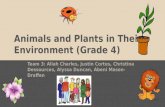 Animals and Plants in Their Environment (Grade 4) Team 3: Aliah Charles, Justin Cortes, Christina Dessources, Alyssa Duncan, Abeni Mason-Draffen.