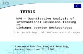 1 TETRIS WP6 – Quantitative Analysis of International Emissions Trading and Linkages between Workpackages Christoph Böhringer, Ulf Moslener and Niels Anger.