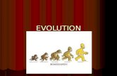 EVOLUTION. EVOLUTION The process of change through time. The process of change through time. Evidences of Evolution Evidences of Evolution Fossils-the.