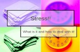 Stress!! What is it and how to deal with it!. Opener Take Stress Assessment Quiz- “How Stressed Are You?”