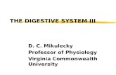 THE DIGESTIVE SYSTEM III D. C. Mikulecky Professor of Physiology Virginia Commonwealth University.
