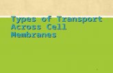 Types of Transport Across Cell Membranes 1. Passive Transport ▪ Does not require energy ▪ Substances move from high to low ▪ Solutes move down the concentration.