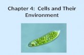 Chapter 4: Cells and Their Environment. The Fluid Mosaic Model of the Plasma Membrane.