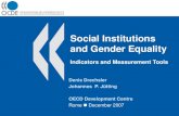 Social Institutions and Gender Equality Indicators and Measurement Tools Denis Drechsler Johannes P. Jütting OECD Development Centre Rome December 2007.