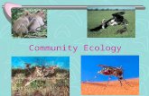 Community Ecology. Ways organisms interact ______________________ Between SAME and DIFFERENT kinds of organisms Compete with each other for available.