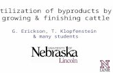 Utilization of byproducts by growing & finishing cattle G. Erickson, T. Klopfenstein & many students.