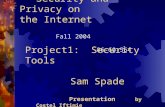 Security and Privacy on the Internet Fall 2004 06-60-564 Project1: Security Tools Sam Spade Presentation by Costel Iftimie.