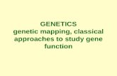 GENETICS genetic mapping, classical approaches to study gene function.