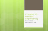 Chapter 15: Genetic Engineering Section 15-2: Recombinant DNA.