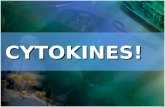 CYTOKINES!. 02 Initial cytokines to respond to injury and infection? TNF-  and IL-1.