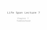 Life Span Lecture 7 Chapter 7 Toddlerhood. 1-3 years Growth – Slow & Steady Areas of focus – Gross & fine motor – Language – Autonomy.