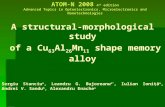 ATOM-N 2008 4 th edition Advanced Topics in Optoelectronics, Microelectronics and Nanotechnologies A structural-morphological study of a Cu 63 Al 26 Mn.