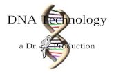 DNA Technology a Dr. Production. DNA Coiling: Replication: DNA  DNA Occurs during S phase of mitosis in reproducing cells only DNA template is copied.