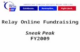 Relay Online Fundraising Sneak Peak FY2009. Moving Forward Friendly URL’s- www domain  College Sites College Sites = youth-oriented.
