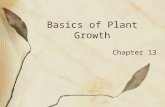 Basics of Plant Growth Chapter 13. Regions of Growth Tips of stems and roots –Terminal buds & root tips = growth in length Axils of leaves –Form new stems,
