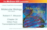 Molecular Biology Fifth Edition Chapter 16 Other Post- Transcriptional Events Lecture PowerPoint to accompany Robert F. Weaver Copyright © The McGraw-Hill.